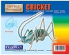 Toyway CRICKET Pre-Coloured 3D Push Out Woodencraft Kit  (Age 6+)